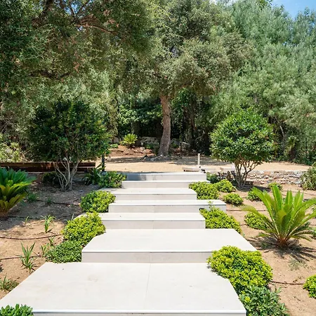 Theava Collection - Rose Des Vents - Saint Tropez Port Grimaud
